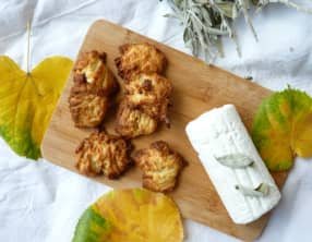 Casse-museaux de Julie Andrieux