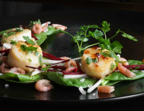 Salade de Saint Jacques, crevettes et radis noir