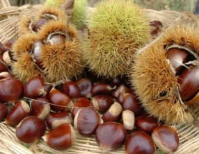 Crêpes à la farine de chataîgne et riz