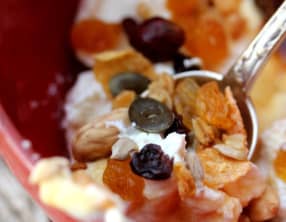 Ricotta aux fruits secs et sève de kitul