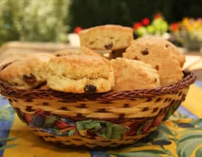 Scones Anglais