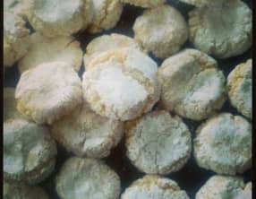 les craquelés à la vanille