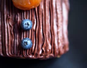 Bûche de Noël marrons et myrtilles