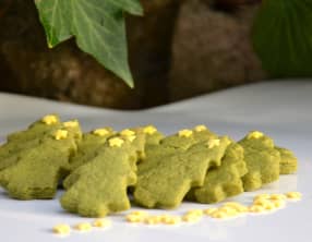 Petits sapins à la pistache