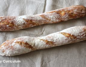 Baguettes tradition maison
