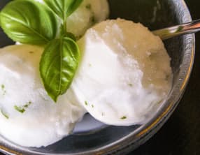 Sorbet citron basilic