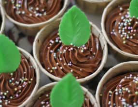 Cupcakes au chocolat