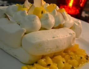 Une pavlova exotique