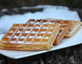 Gaufres complètes