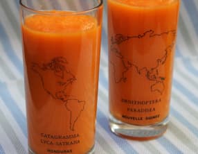 Smoothie carotte-orange-gingembre