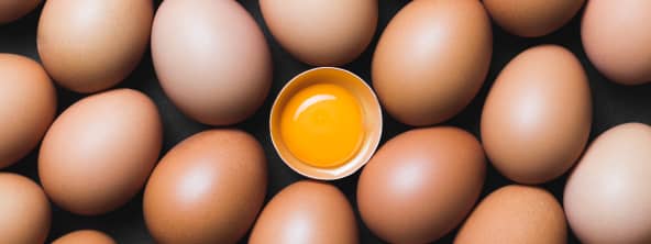 Les oeufs n'auront plus aucun secret pour vous !