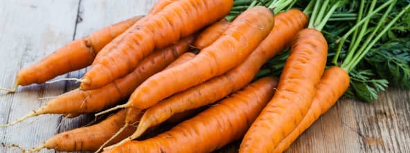 La carotte