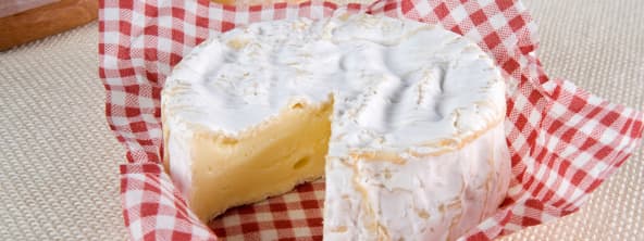 Le camembert