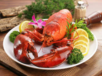 Le homard