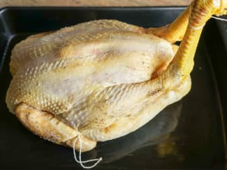 Techniques appliquées aux volailles et gibier à plumes