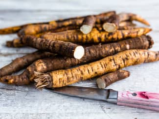 Les salsifis ou scorsonères