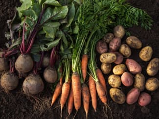 Les légumes-racines