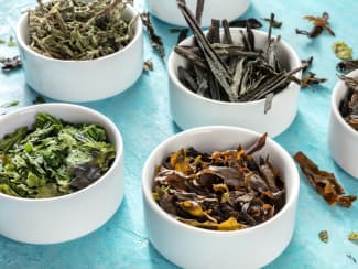 Les algues et plantes marines