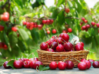 Panier gourmand de juin : le best-of des produits frais de saison