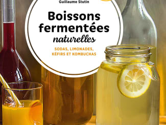 Boissons fermentées naturelles
