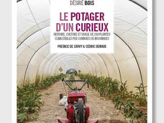 Le potager d'un curieux