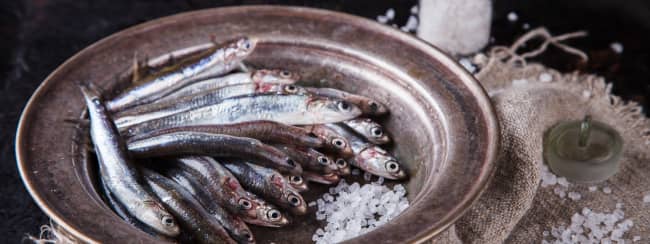 L'anchois