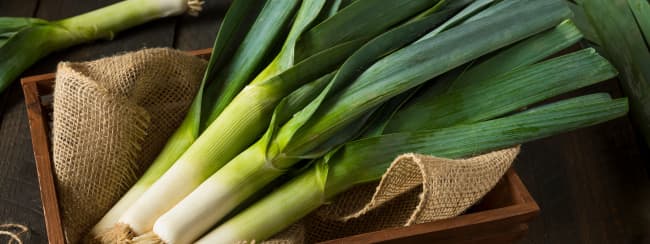 Le poireau