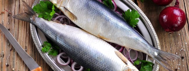 Le hareng