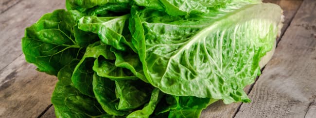 La laitue romaine