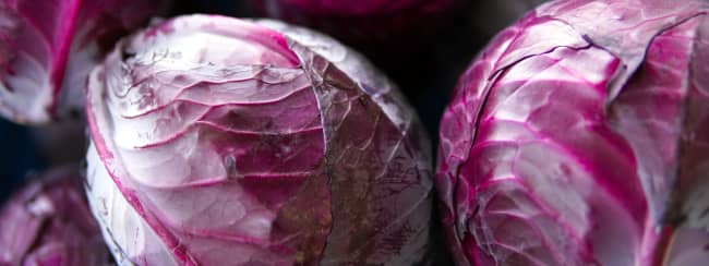 Le chou rouge
