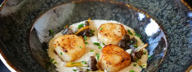 8 recettes de saint-jacques, du carpaccio express au gratin généreux