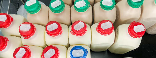 Le lait - Composition et standardisation du lait