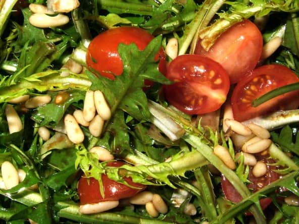 Salade de pissenlits