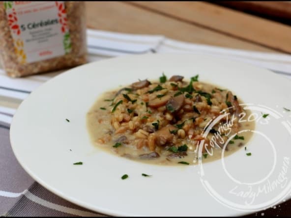 Risotto de céréales aux champignons, mozzarella et parmesan (orge perlé, risotto, épeautre, avoine, blé complet, kamut)
