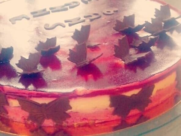 entremet framboise citron