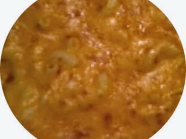 Timbale de macaronis au saumon, mascarpone, parmesan et fines herbes