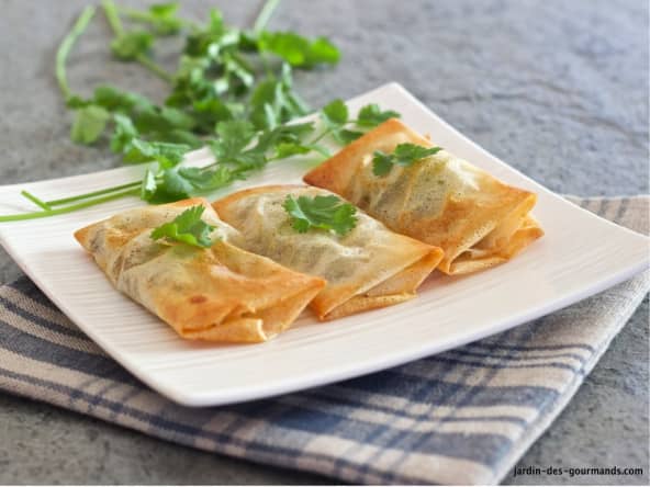 BRICKS au Thon et Coriandre