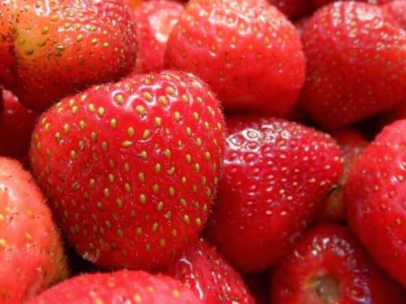 Fraises à l'eau de vie