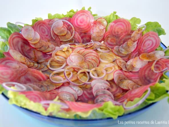 Carpaccio de betterave Chioggia, radis rose, oignons rouges et pomme