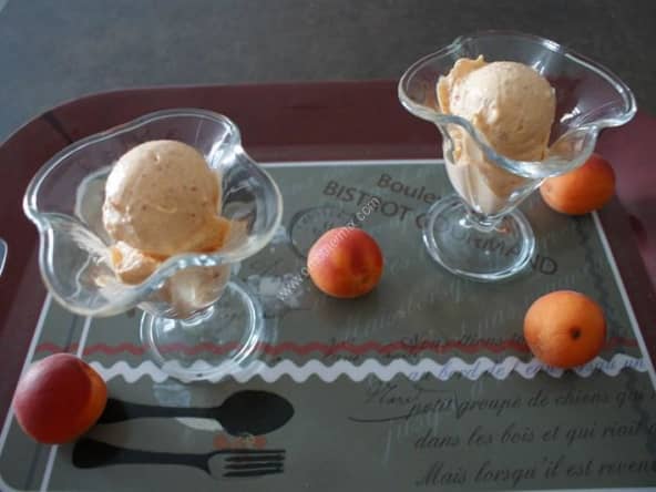 Sorbet abricot au thermomix facile et très rapide