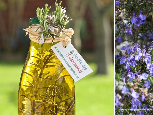 Huile au romarin fait maison