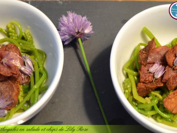 Ornithogales en salade et chips de Lily Rose.