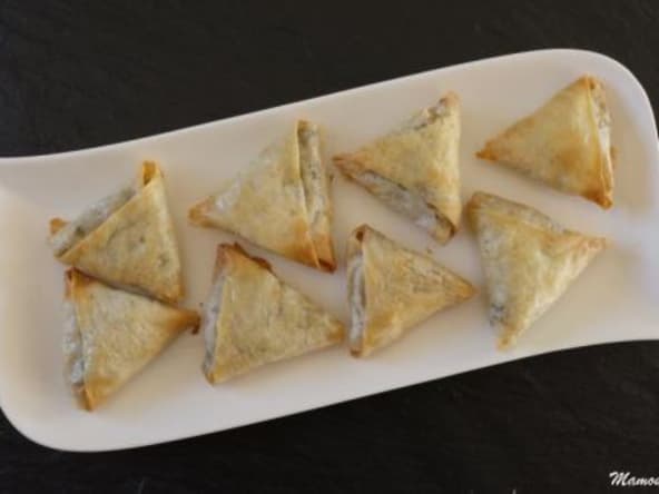 Samoussas épicés aux légumes