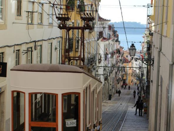 Pastéis de nata : l'incontournable petite douceur de Lisbonne