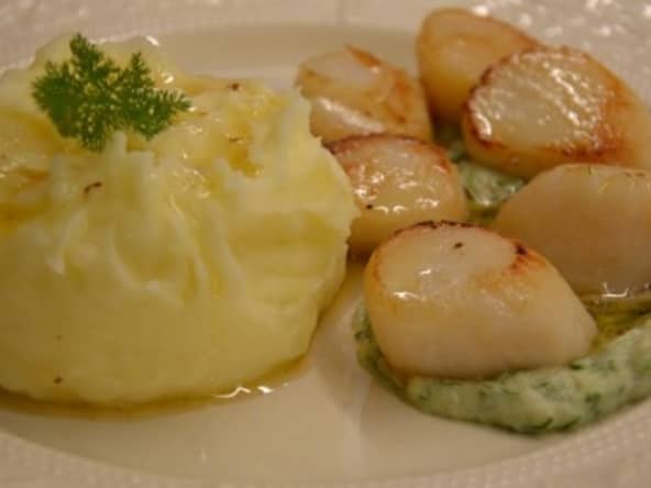 Coquilles Saint-Jacques, écrasée de pomme de terre, embeurrée de fenouil