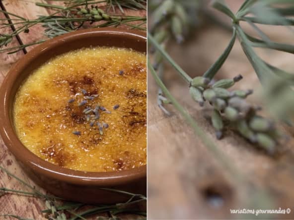 Crèmes brûlées à la lavande