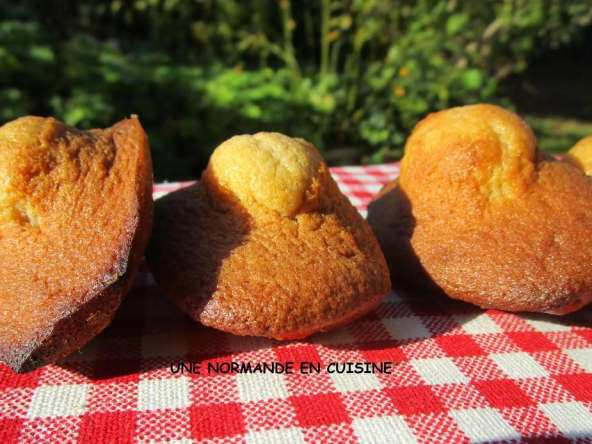 Madeleines ardéchoises