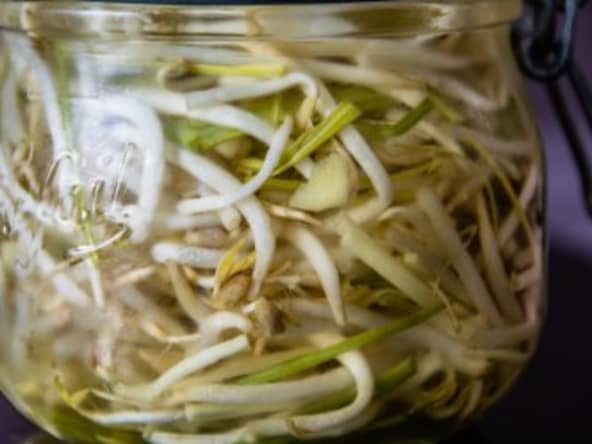 Pousses de soja  en pickles : dưa giá