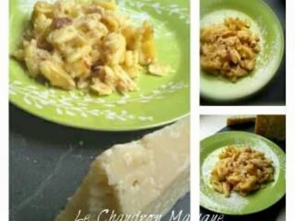 Risotto de coquillettes