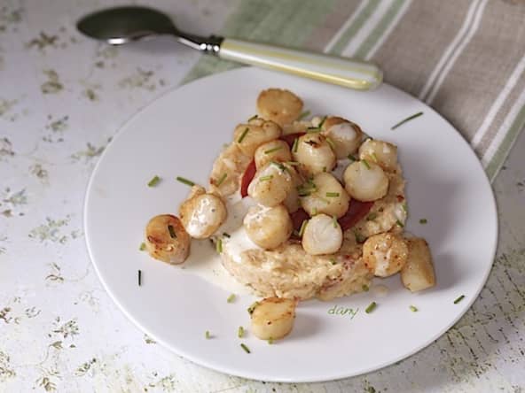 Risotto aux pétoncles chorizo et crème de parmesan